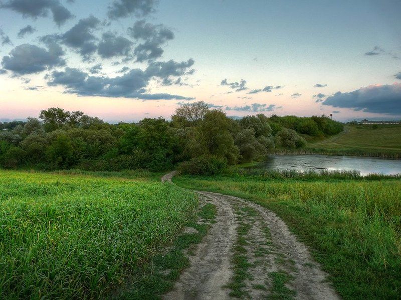 пейзаж, поле, дорога, пруд  фото превью