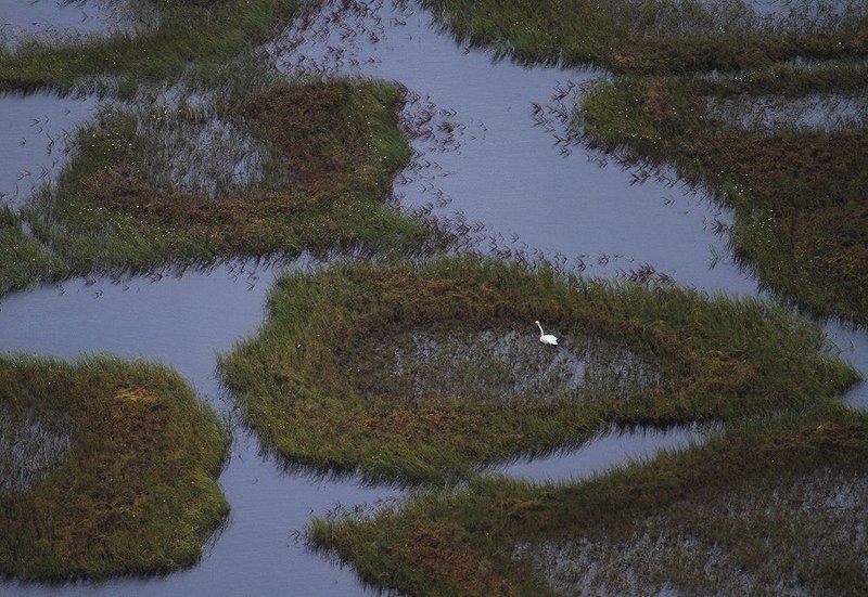 вертолет, Пейзаж, Полет, Север, тикси, Тундра, якутия Полет у края земли фото превью