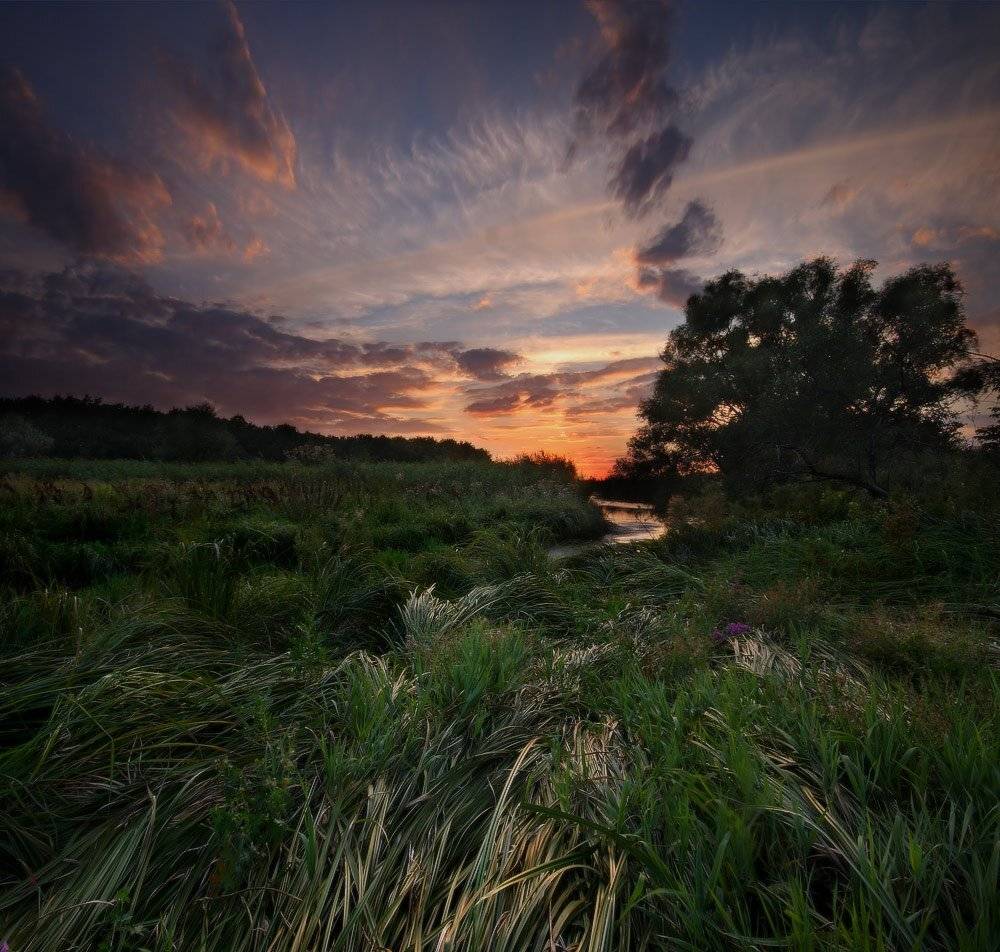 вечер, лето, закат, Петриченко Валерий