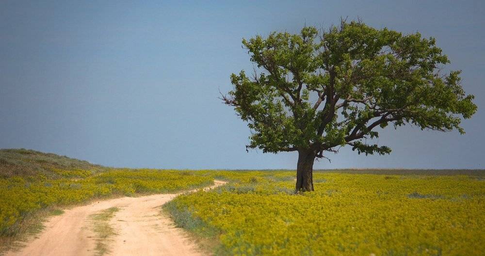 , Артём Маковский