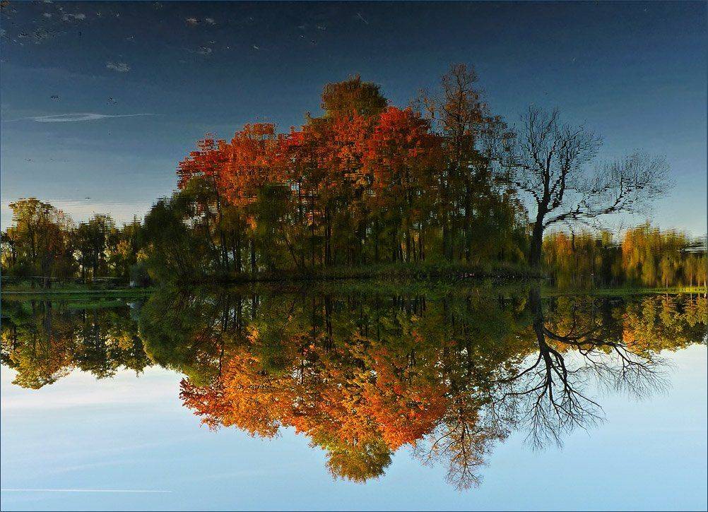 , Ольга Хлуднева