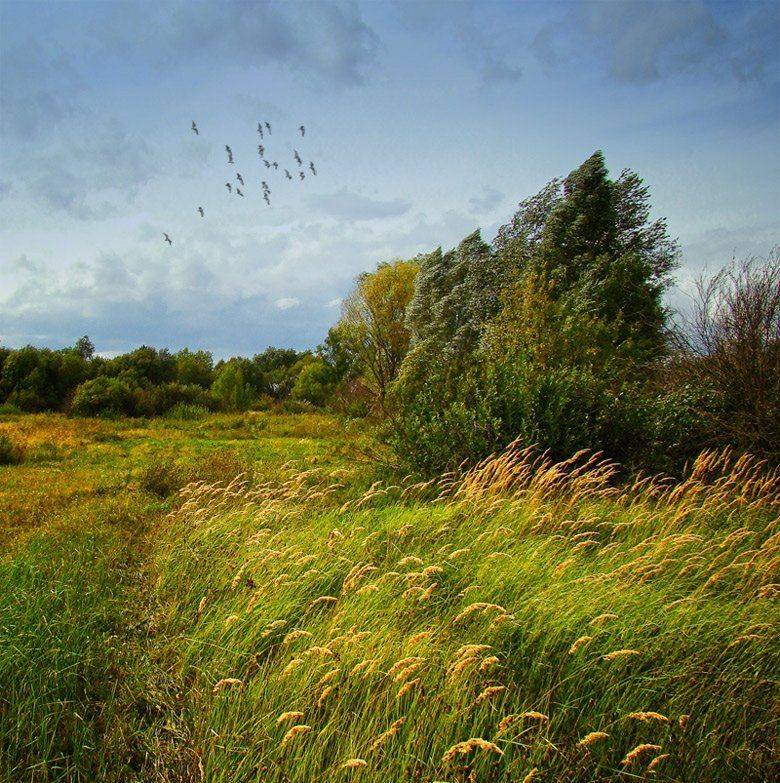 , Лана Тополева