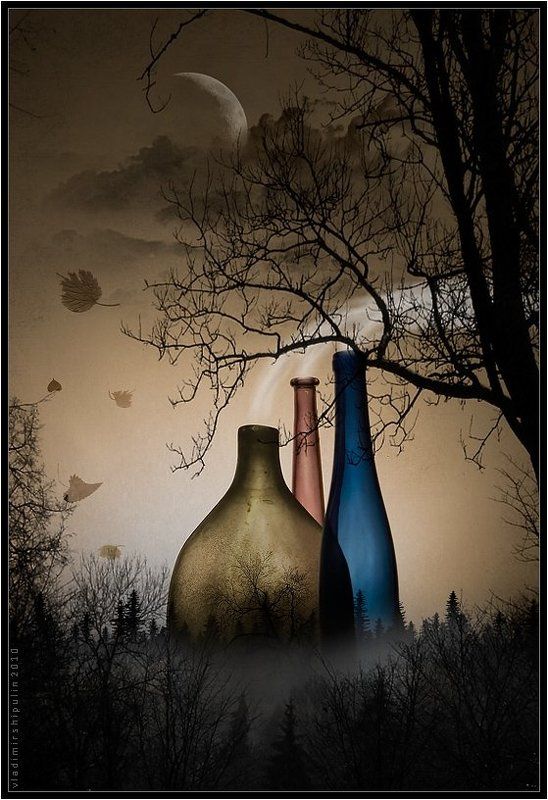 колдун,сказка,сказки,волшебство,сагия,джин,джины,дерево,деревья,туман,туманы,дым,владимир,шипулин Колдуны... фото превью