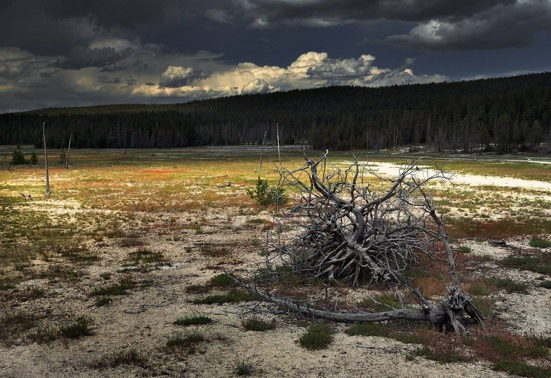 пейзаж, природа, Pavel