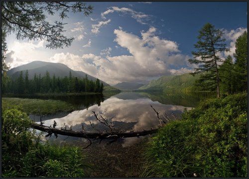 Пейзаж с кривым бревном