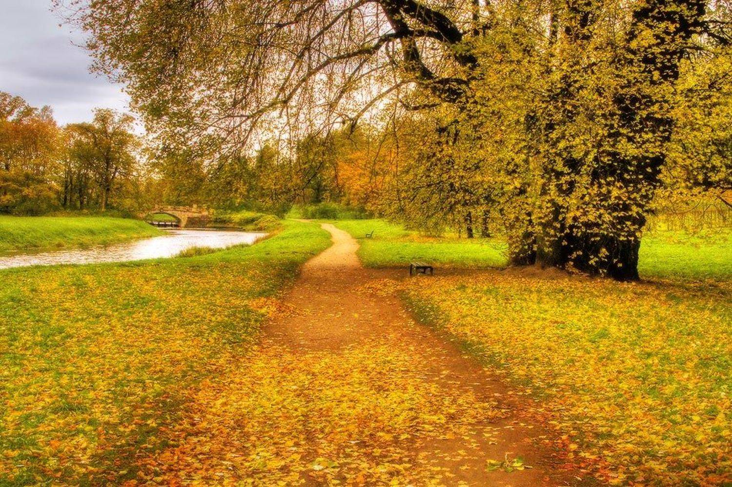 , Viktor Kalechenkov