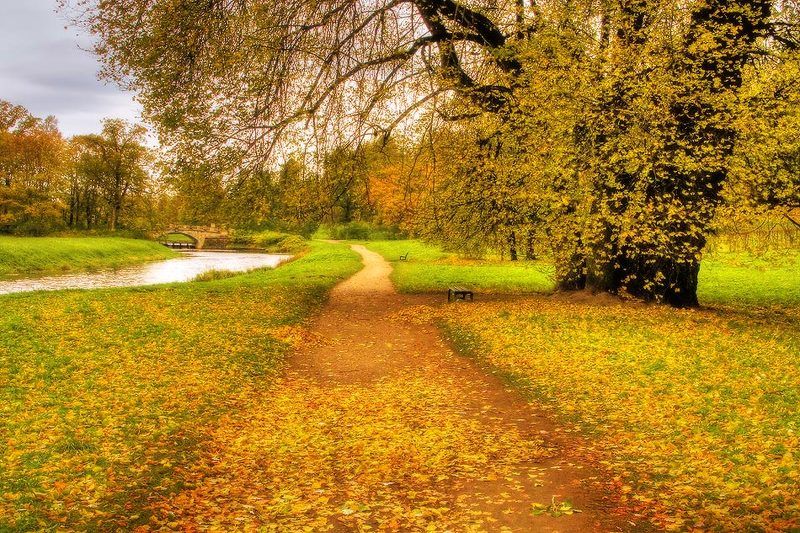 Золотая осень фото превью