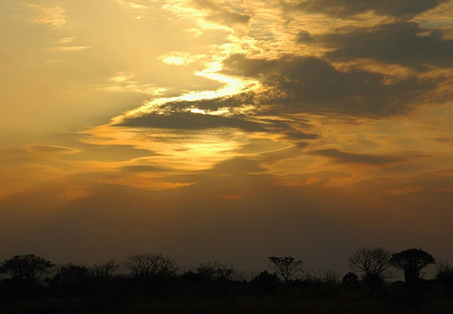 из, цикла\"120, дней, конго\", Михаил