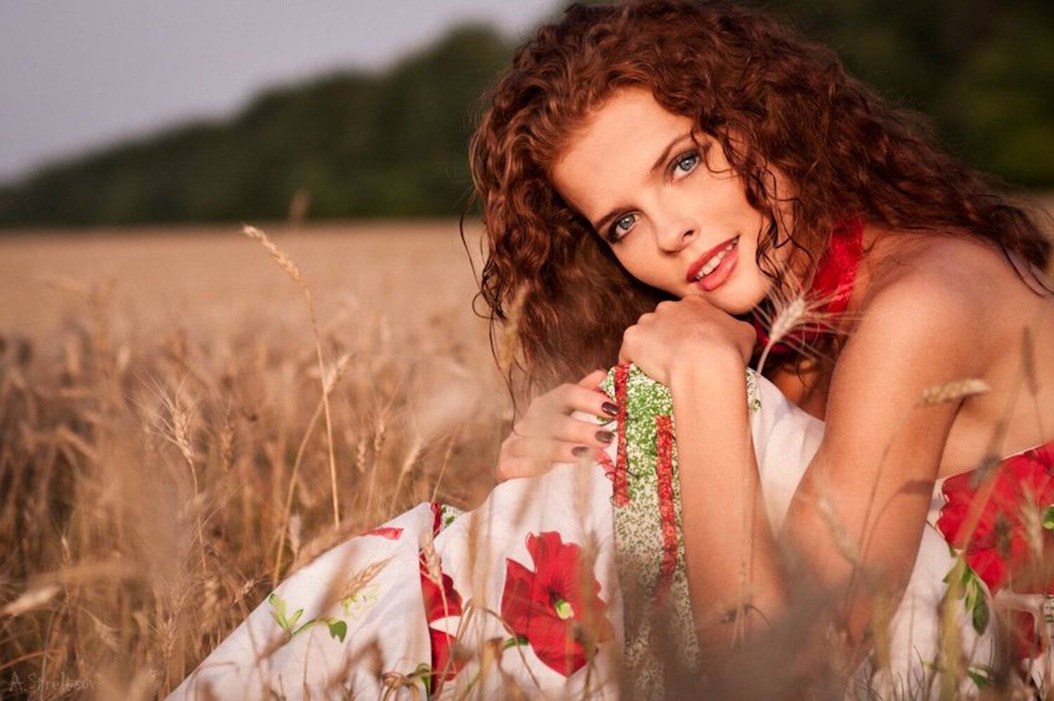 , Alexander Streltsov