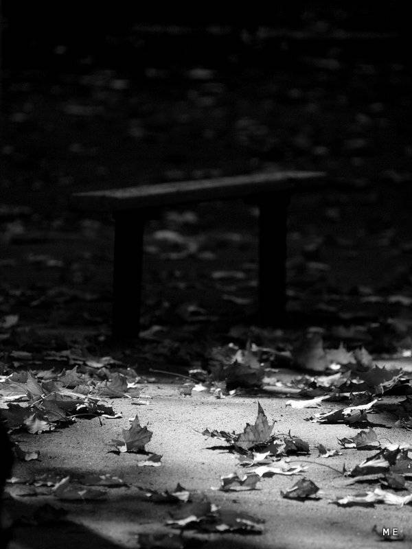 , михаил михаил