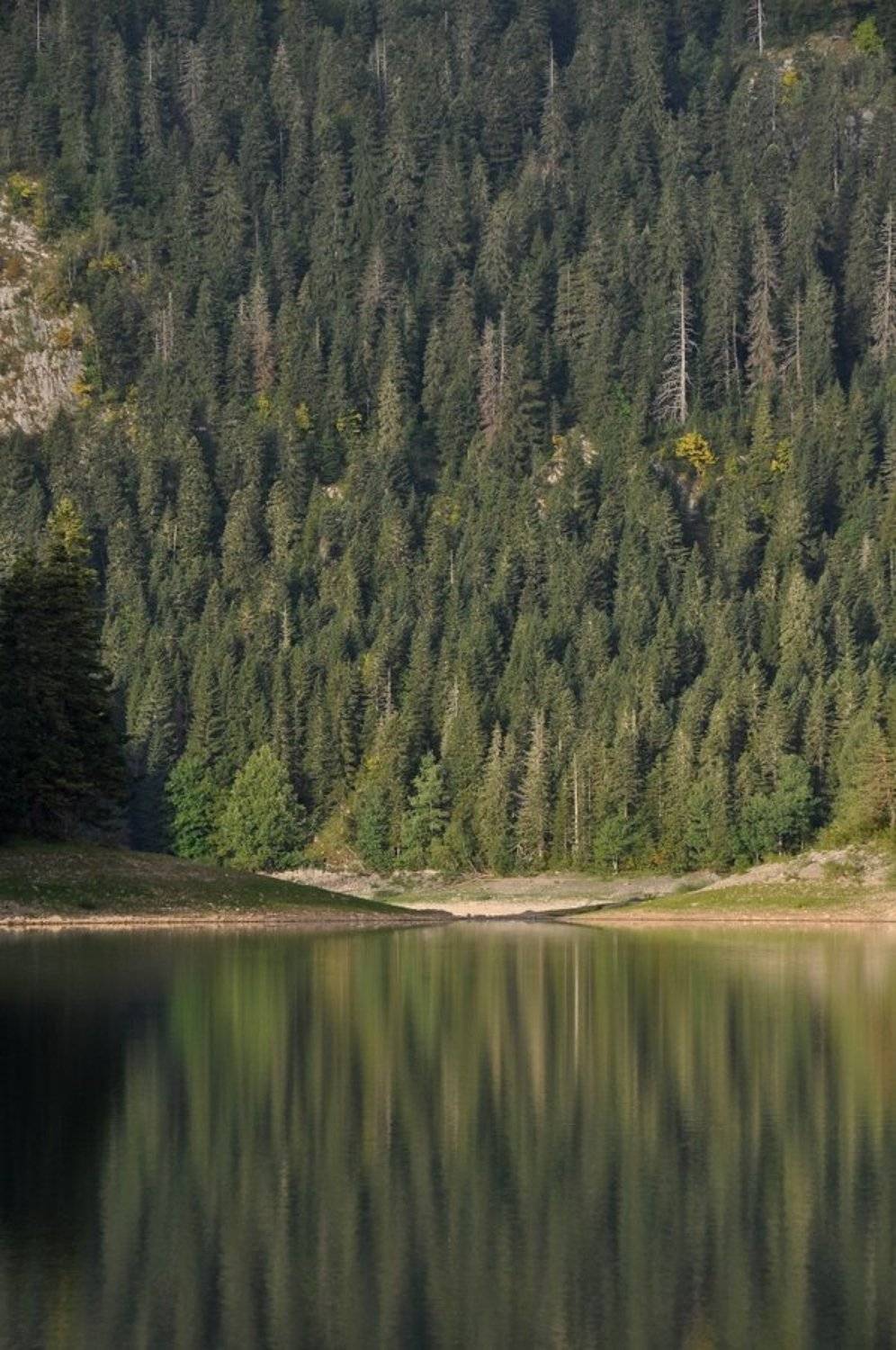отражение, озеро черное,, Света и Вася