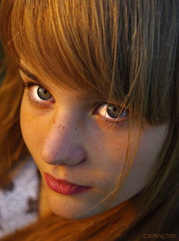 Trace фото превью