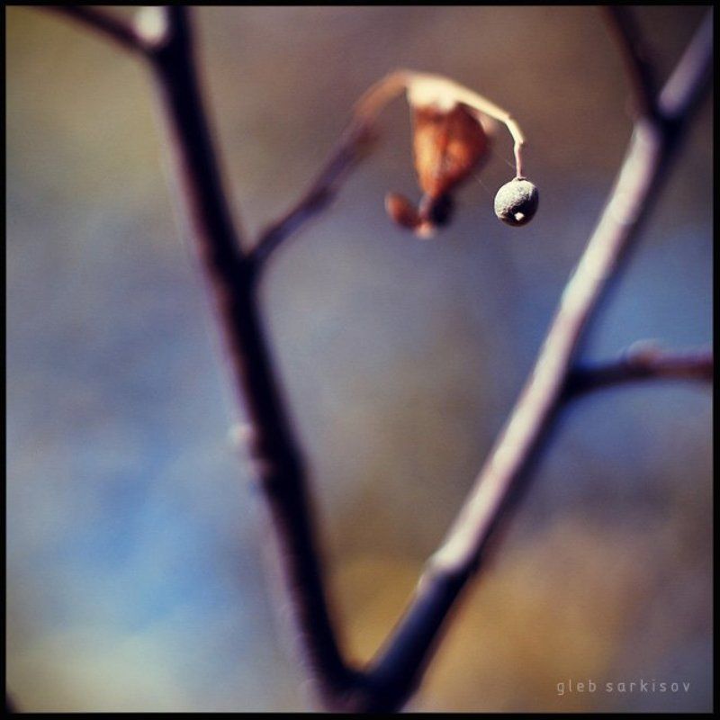 herbst, autumn *** фото превью