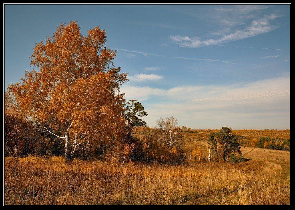 осень, дорога, Юрий Фролов
