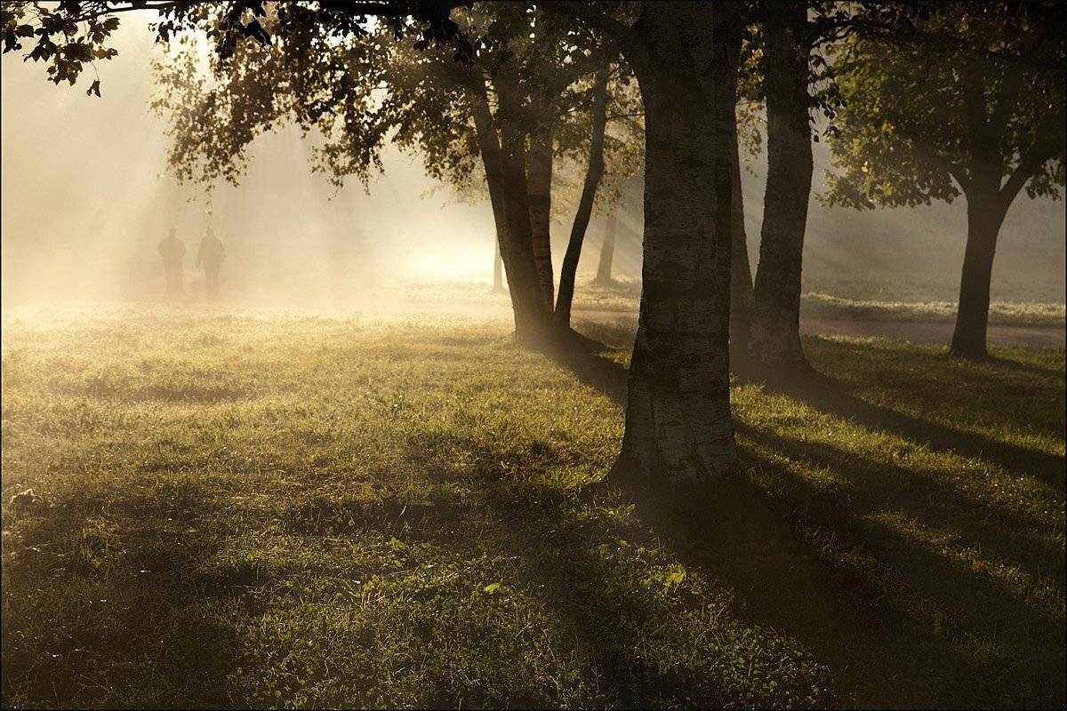 туман ,свет, Аркадий Белов