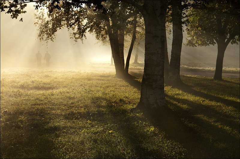 Люди как тени.... фото превью