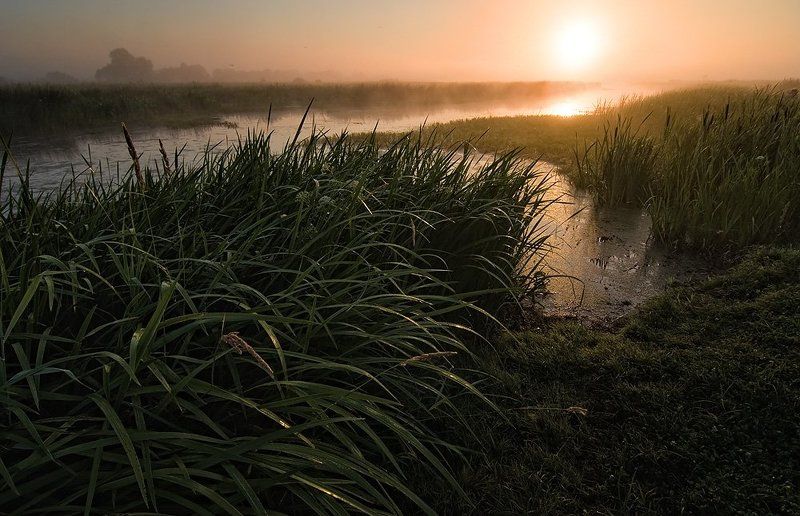 Утро на реке фото превью
