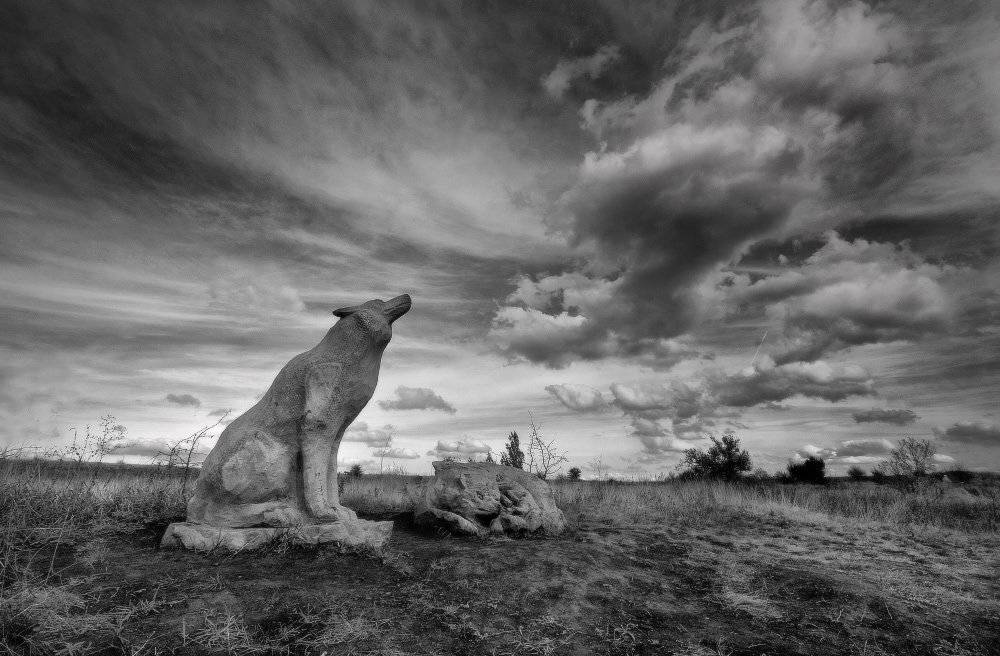 осень, волки, вечер, вой, Петриченко Валерий