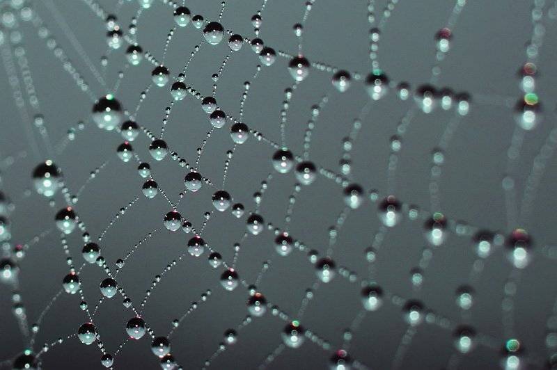 , Дмитрий Журавлев