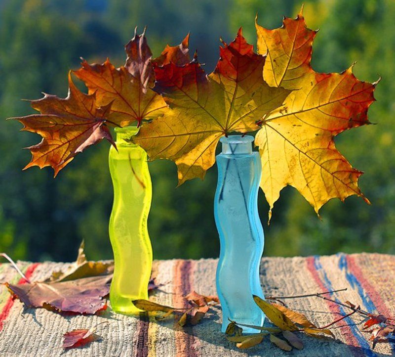 солнце, осени. СОЛНЕЧНЫЙ букет... фото превью