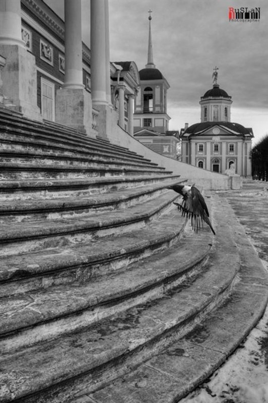 усадьба, «кусково» Up the stairs фото превью