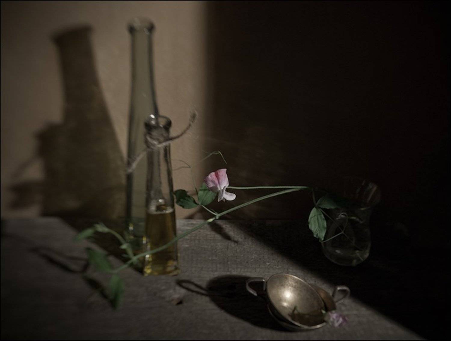 lensbaby, Екатерина Литау