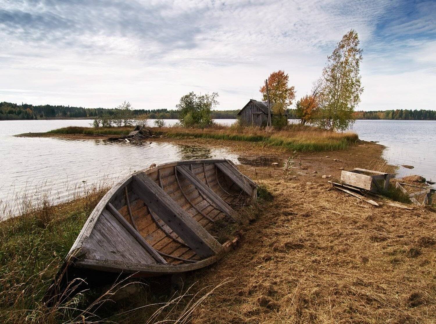 , Максим Евдокимов