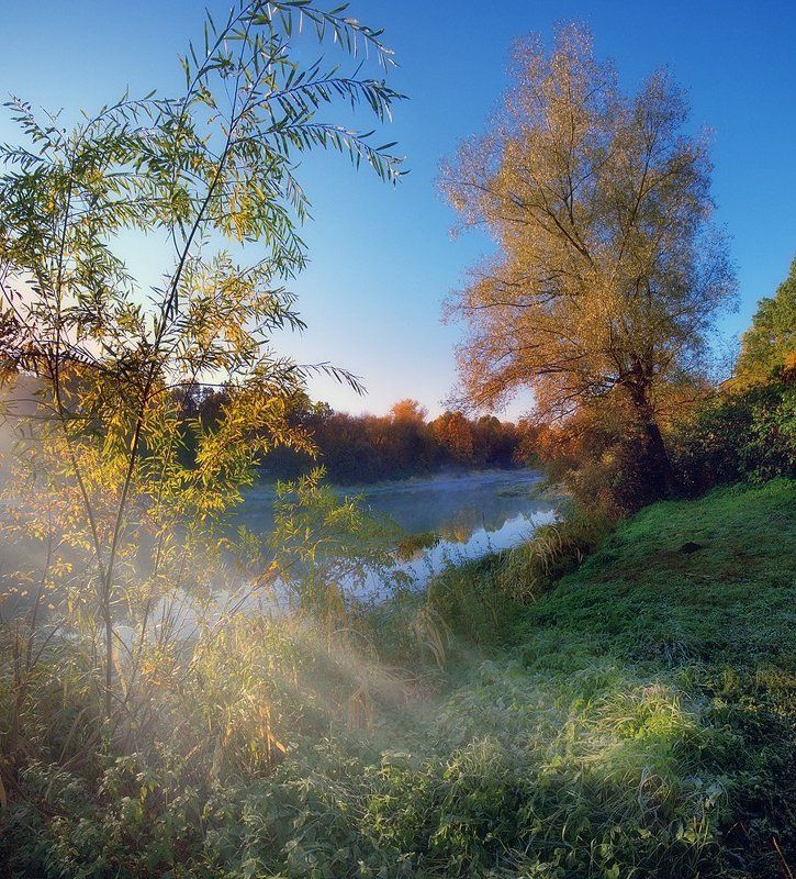 В тепле осеннем фото превью