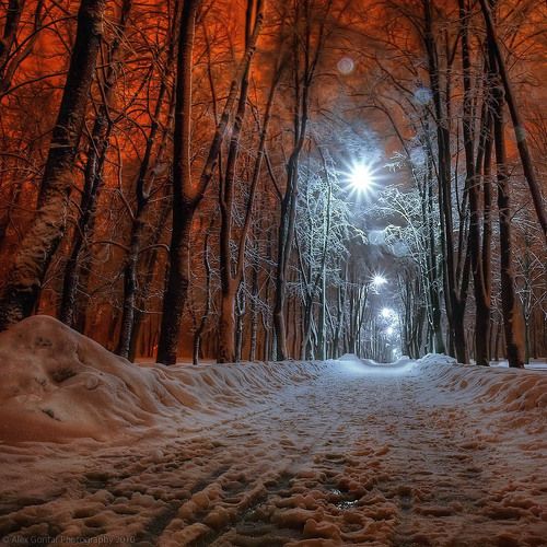 Nightly Kiev. 219854