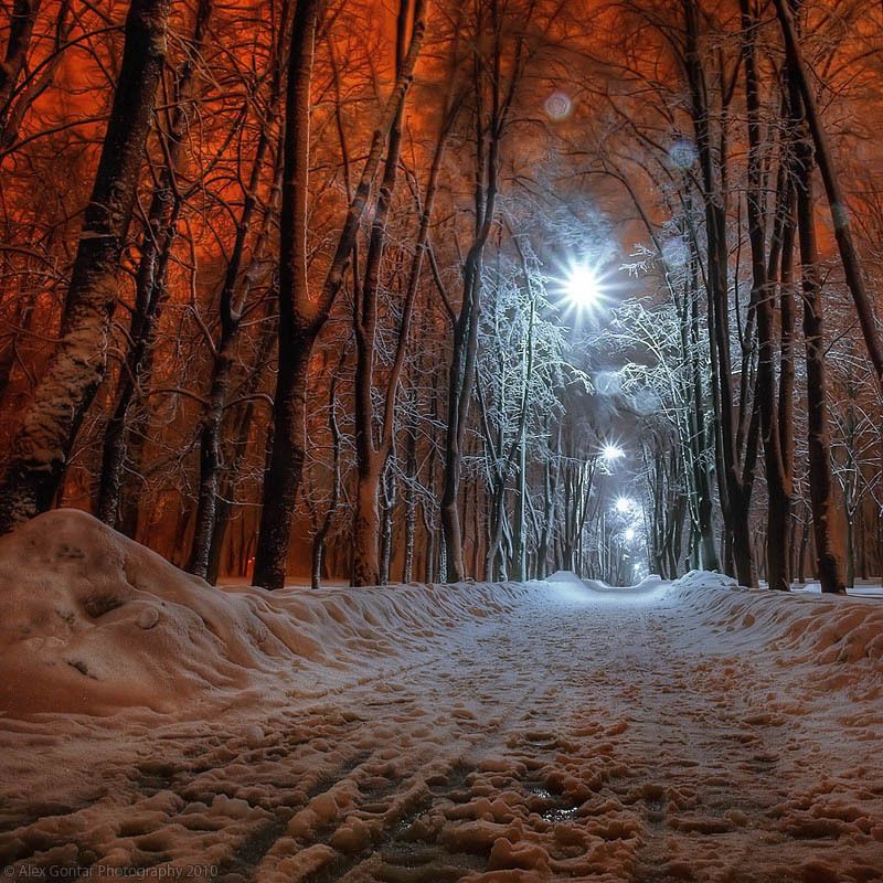 alex gontar, darkness, dusk, fiery-fish, kiev, lantern, night, olympus, park, public garden, red, snow, square, the capital, the winter, trees, ukraine Nightly Kiev. 219854 фото превью