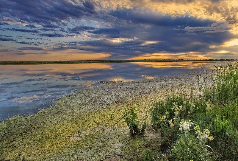 пейзаж, природа, озеро, лето, закат, ковыль Переливы летних красок фото превью
