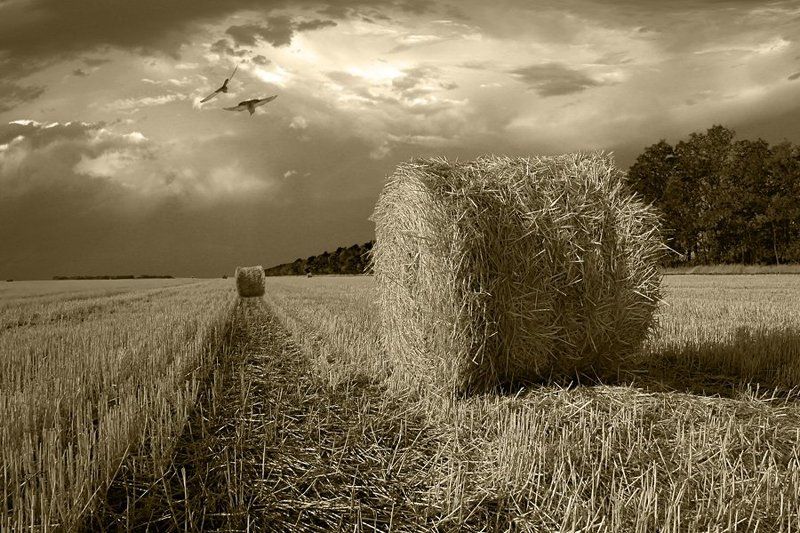 Пейзаж фото превью