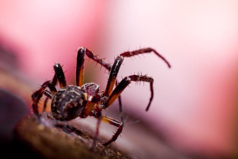 Стойка фото превью