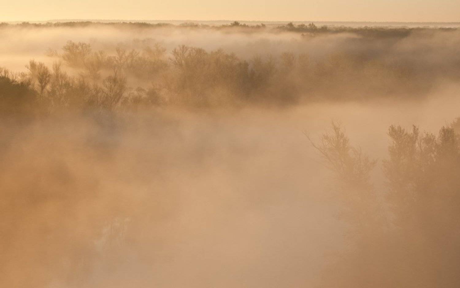 , Срибный Евгений