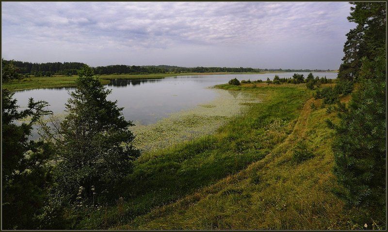 озеро, недрово, лес, облака, небо, тропинка, слободка, браслав, белорусь Озеро Недрово фото превью