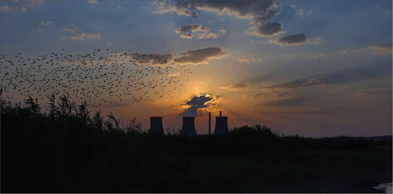 природа, Геннадий Меремьянин