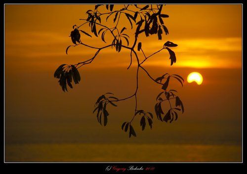 # Малазийские картинки #