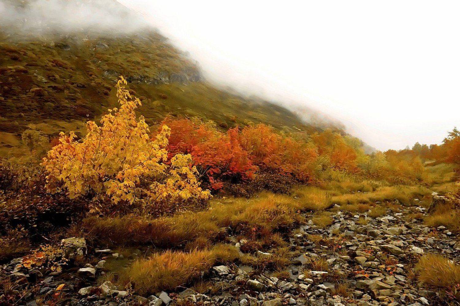 , Вадим Голосницкий