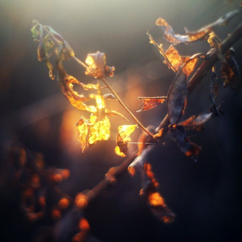 Игры с солнцем фото превью