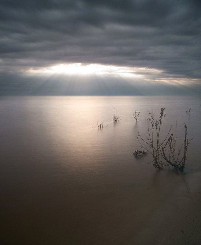 Light 2 фото превью