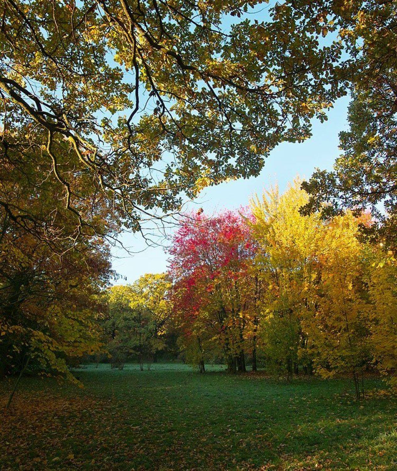 , Вадим Казаков