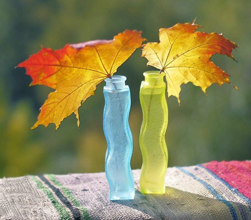 солнце, осени., краски. свет, цвет. Солнце Осени. фото превью