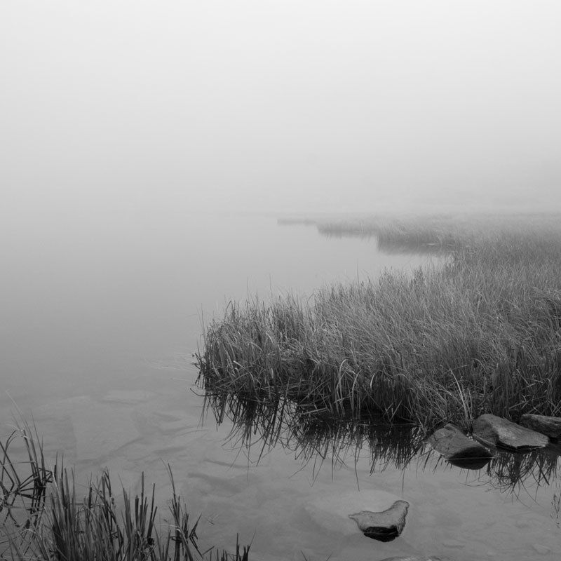 тишина фото превью