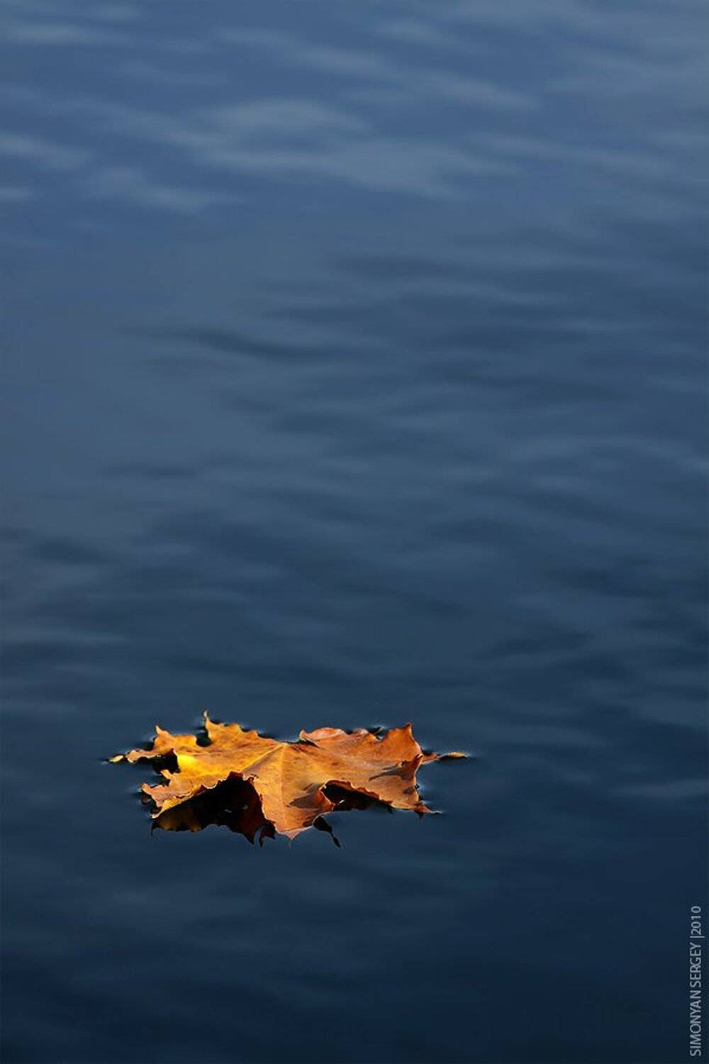 , Симонян Сергей