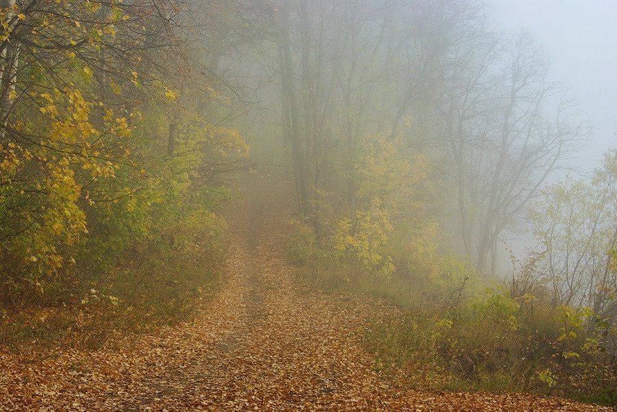 , Andrew (a-never) Nitsenko