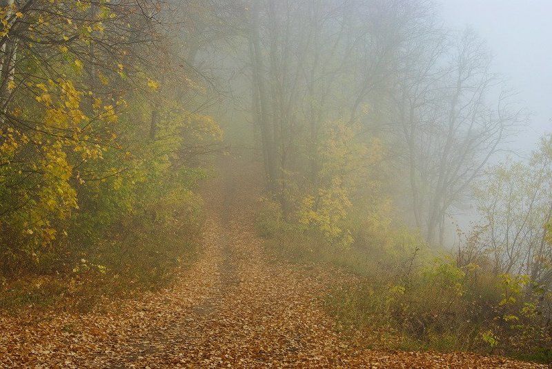 Тишина фото превью