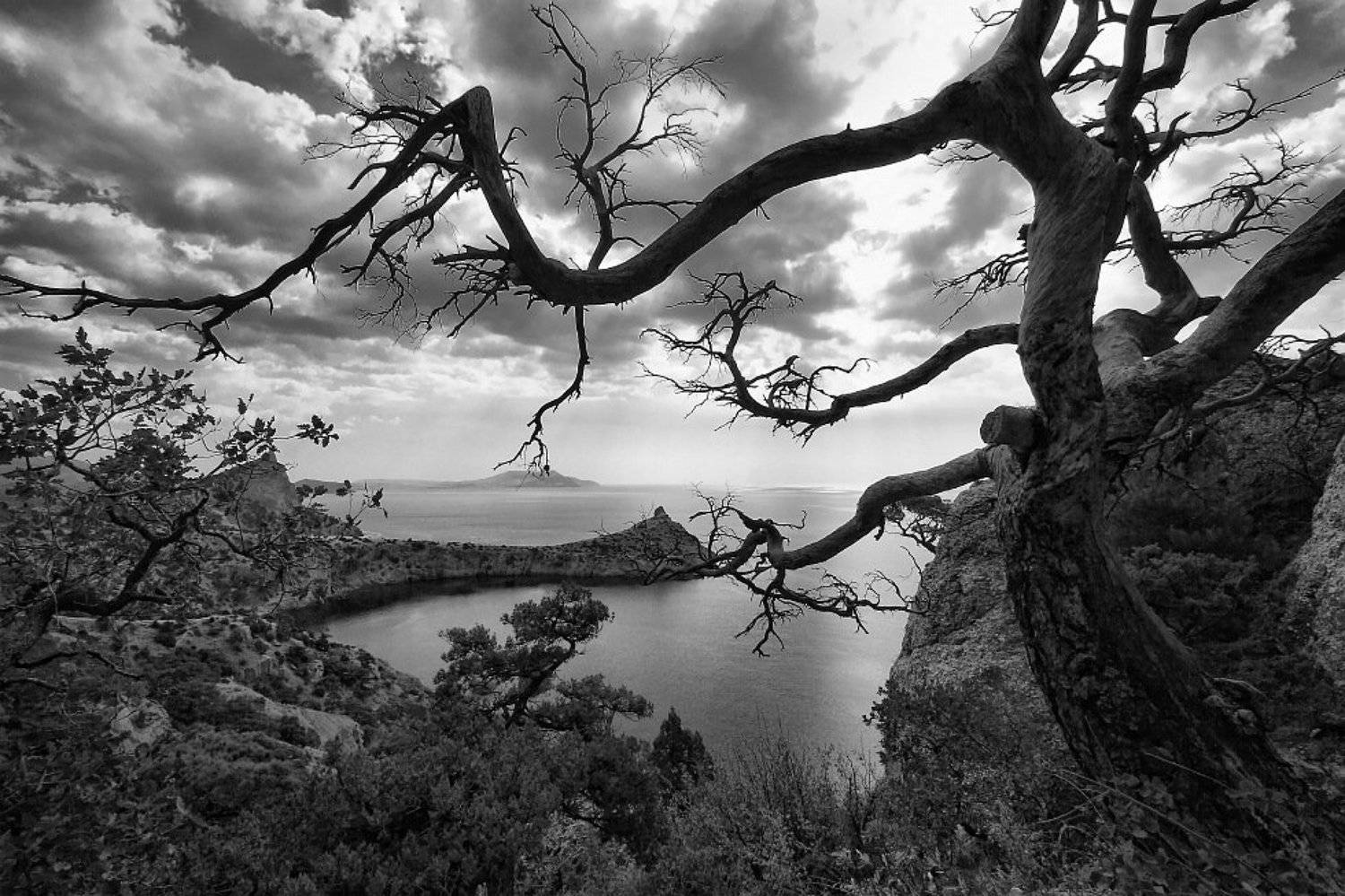 фото, пейзаж, юбк, новый, свет, дерево, море, Ольга Горелова