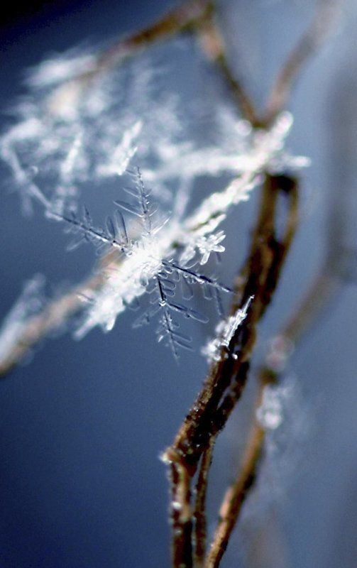 снежинка Линии декабря фото превью