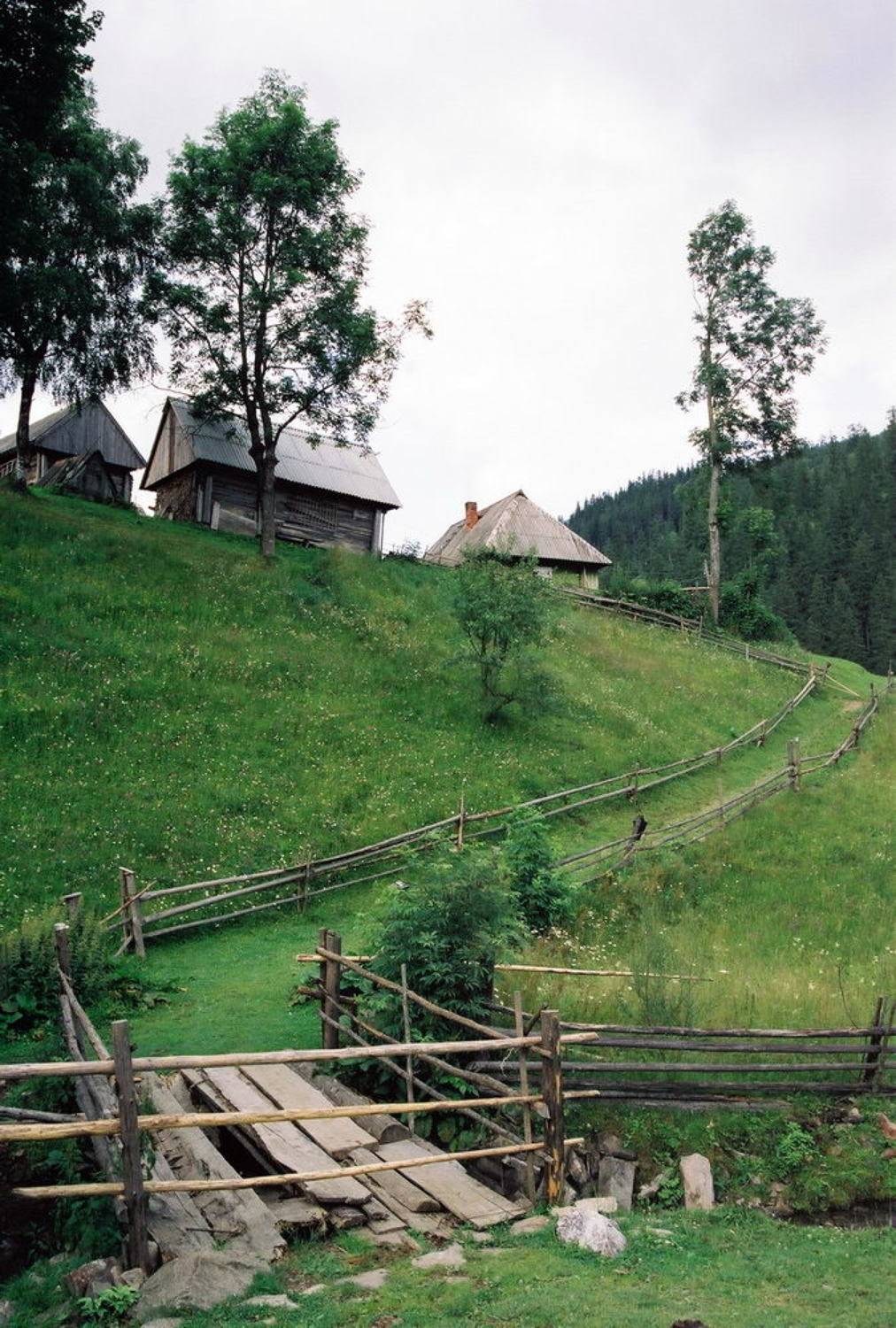 , Игорь Филипенко