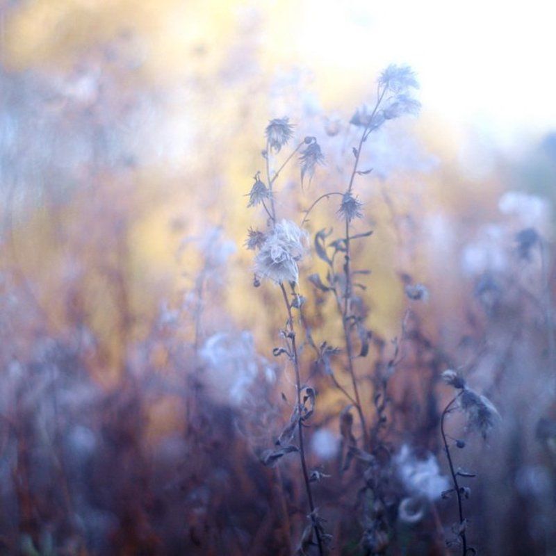 Последняя песня фото превью